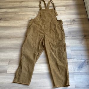 Aerie utility corduroy overall